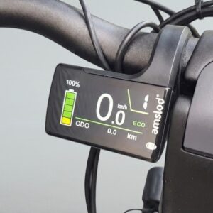 Amslod Vinka DC31 display